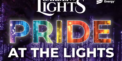 Pride at the Lights