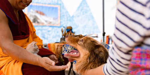 Pet Blessings at STASH