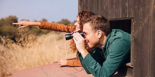Observer les oiseaux de la Palu 