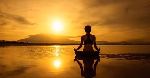 Forest Bathing... What is it?