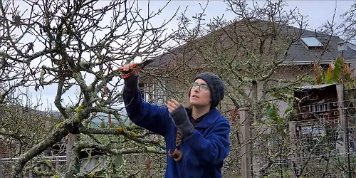 Winter Fruit Tree Pruning