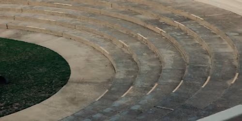 Fruit Bats in Seattle