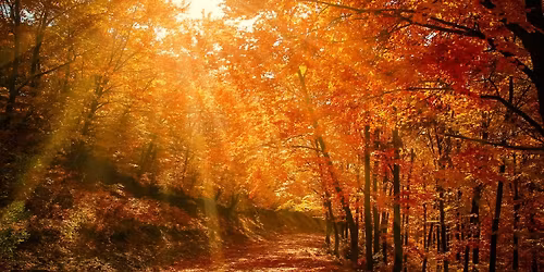 Autumn Yin Yoga : 1\/2 day workshop for women