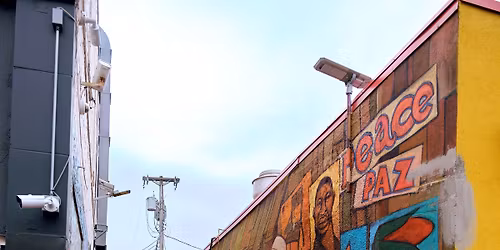 Lake Street Mural Day