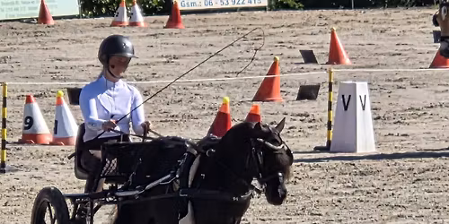 Dressuur en vaardigheid