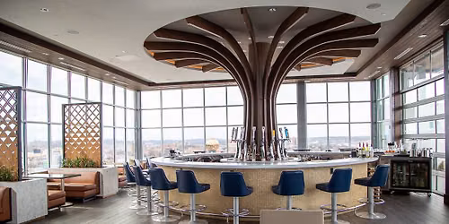PLMP BIZ Social Networking sponsored by Peachtree Planning at Radius Rooftop Lounge - Embassy Suites