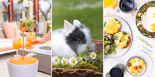 Bunnies & Brunch | Wild Hare Bar Garden