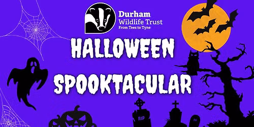 Durham Wildlife Trust Halloween Spooktacular