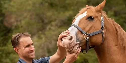 Dr Ryan speaks on Equine Dentistry NVOET Nov Meeting