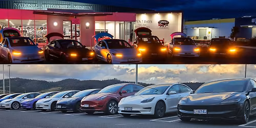 World wide christmas lightshow