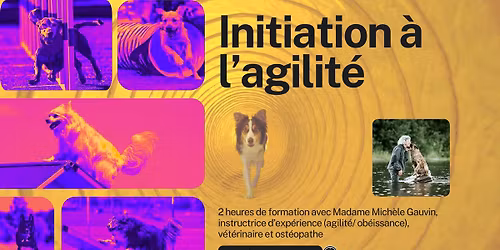 Initiation \u00e0 l'agilit\u00e9