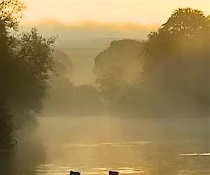 The Stillness Beyond Thoughts | Learn to Meditate Workshop
