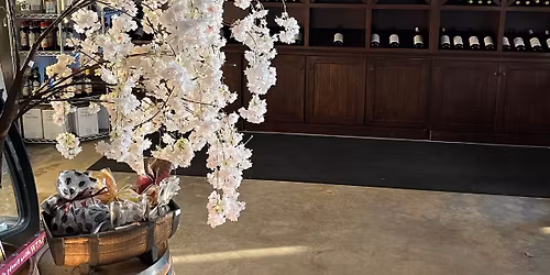 Singles Night Every Friday from 4pm-8pm