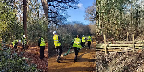 Conservation Volunteering Days: Building Leaky Dams in Epping Forest