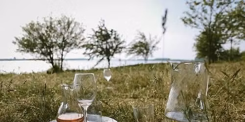 Performing @ Sip, Swirl, Shop & Support Event