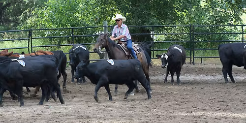 April Team Penning & Potluck