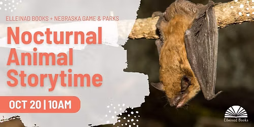 Nocturnal Animal Storytime
