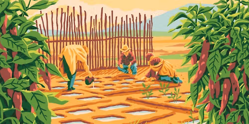 Indigenous Waffle Gardening at Salt River Pima-Maricopa Indian Community