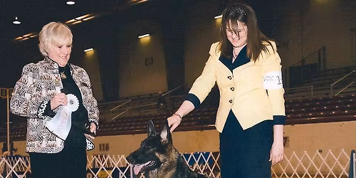 German shepherd dog club of Dallas show and Nolan River KC