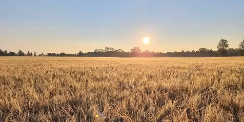 Beer tasting and yard sale with guided tour of the brewery 