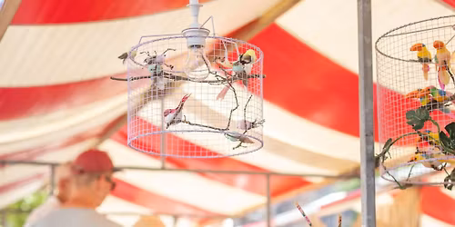 Zondag 12 april 2026 \u2014 \u2b50 SWAN MARKET LEIDEN \u2b50