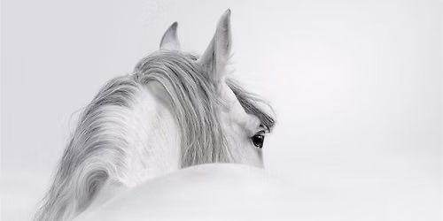 Horse Owner Workshop