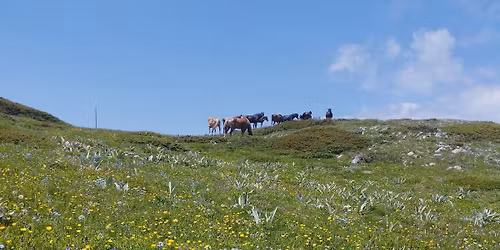 \u0414\u0443\u0445\u044a\u0442 \u043d\u0430 \u0420\u043e\u0434\u043e\u043f\u0430 - \u0441\u0435\u043b\u043e \u041c\u0430\u043d\u0430\u0441\u0442\u0438\u0440, \u0445\u0438\u0436\u0430 \u041f\u0440\u0435\u0441\u043f\u0430 \u0438 \u0432\u0440\u044a\u0445 \u0421\u0432\u043e\u0431\u043e\u0434\u0430