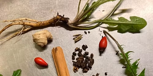 Atelier cuisine "Racines & \u00e9pices"