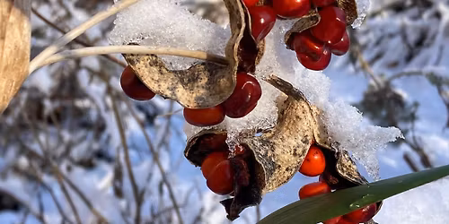 Hospitalfield Christmas Banquets