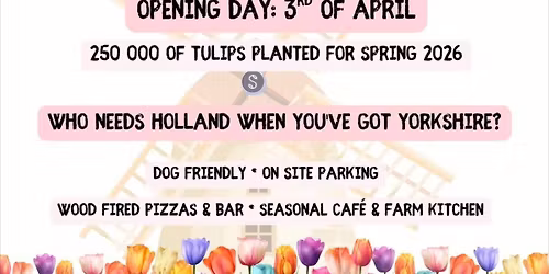 [WSZYSCY] Spacer w\u015br\u00f3d p\u00f3l tulipan\u00f3w\ud83c\udf37\ud83c\udf37