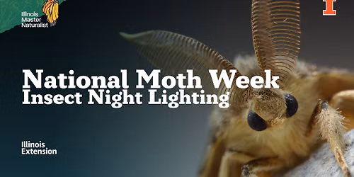 National Moth Week - Insect Night Lighting