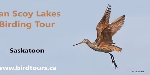 Van Scoy Lakes Birding Tour
