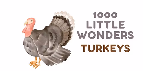 1000 Little Wonders - Turkeys