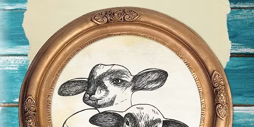 Black Friday with Eliza Blue!