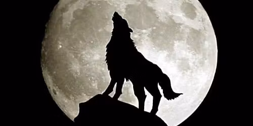 Downtown Mesquite Market 