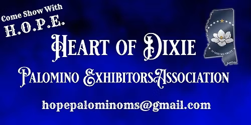 Summer in the South Horse Show