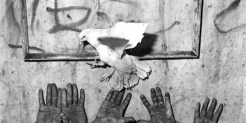 artist talk :: ROGER BALLEN