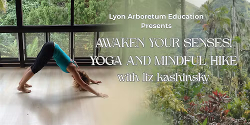 Awaken Your Senses! Yoga and Mindful Hike - May
