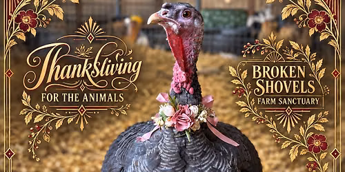 Thanksliving FOR the Animals