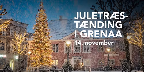 Juletr\u00e6st\u00e6nding i Grenaa