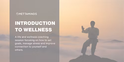 An Introduction To Wellness
