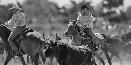 Stage de travail du b\u00e9tail avec Antoine Cloux \u00e0 la ferme dans le Bugey