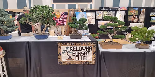 Bonsai Sunday Coffee