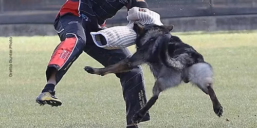 Abel Hunkara.Seminarium z obrony 4-7 czerwca 2026