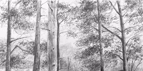 Drawing Workshop for All Abilities