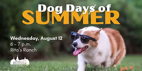 Dog Day\ua7a9 of Summer 