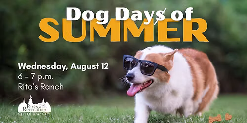 Dog Day\ua7a9 of Summer 