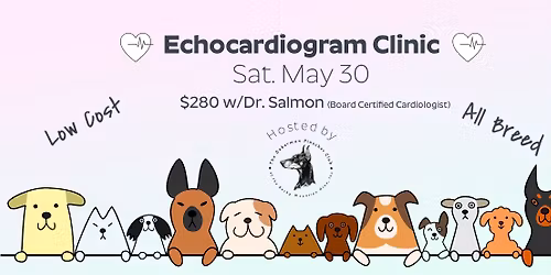 Echocardiogram Clinic | All Breed | A Non-Show Denver Location