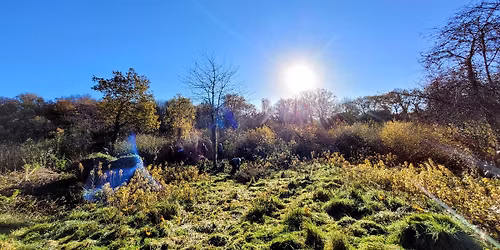 May Sunday volunteer conservation session