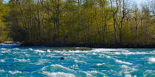 River Stroll at the Falls